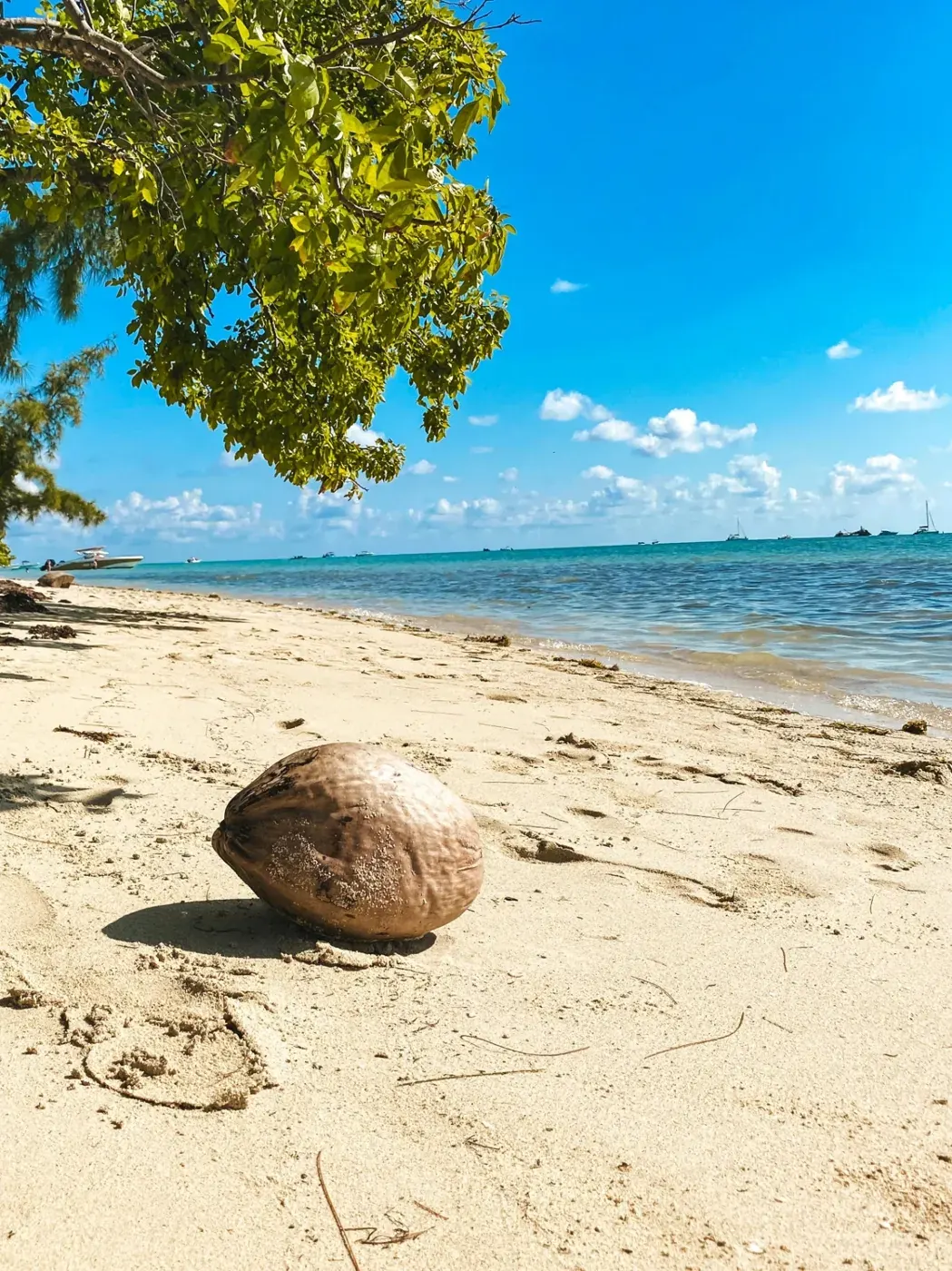 Hidden beach Baie du Cap in Mauritius — secret tip