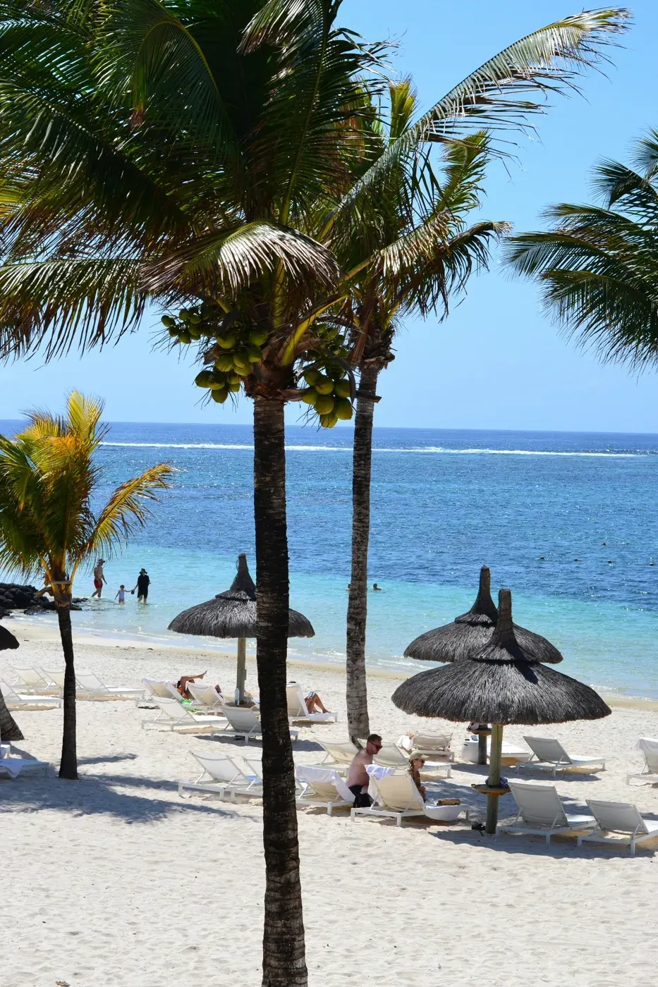 Palmar beach in Mauritius — snorkeling at the coral reef